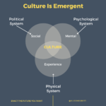 Culture Emerges from mental, social and physical systems