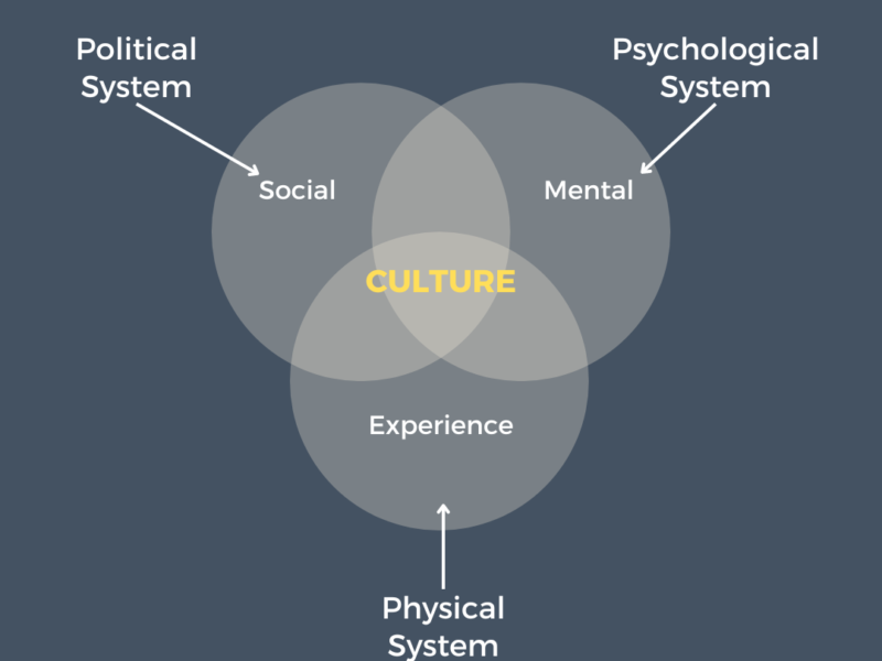 Culture Emerges from mental, social and physical systems