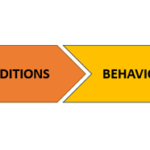 Enactive Leadership Pathway